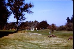 Golf course--possibly Sebastopol's in 1970