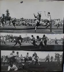 Analy High School Tigers football 1947--Analy vs Santa Rosa