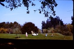 Group of golfers at the Sebastopol Golf Course on Scott's Right of Way, 1970