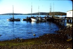 Boats at Nick's Cove on Tomales Bay, 1975