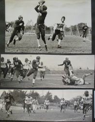 Analy High School football game vs Petaluma at Analy, Saturday, November 5th, 1949