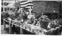 Sebastopol's Gravenstein Apple Show display of plates and baskets of apples on a table decorated with ferns