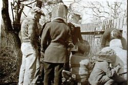 Oscar A. Hallberg, 4H leader, inspecting bees with group of boys about 1925