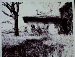 Luther Burbank's Gold Ridge Experiment farm cottage before restoration, 1970