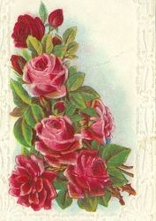 Picture of red roses surrounded by white lace, postmarked 1913