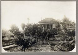 Home of Mary (Chandler), Charles Olcott and Melvin DaVall family, northeast of Graton, California