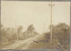 Petaluma & Santa Rosa electric tracks near Sebastopol, about 1905