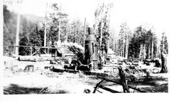 McBain's Saw Mill at Steffiani Ranch, Cazadero, about 1939