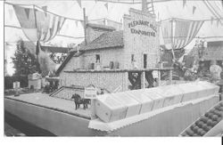 1910 Gravenstein Apple Show display of the Pleasant Hill fruit evaporator (dryer) made of whole and dried apples as seen from a different angle