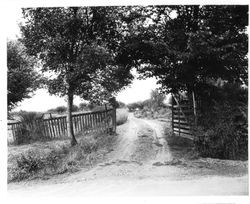 Entrance to Luther Burbank's 18 acre Gold Ridge Experiment Farm on Bodega Highway in Sebastopol, 1930s