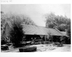 Ben Joy Mill on Tannery Creek, Bodega, 1907