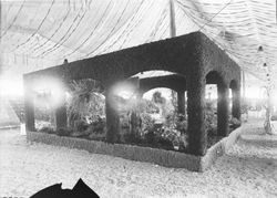 Gravenstein Apple Show unidentified display with a greenery covered platform and ferns and plants within under the Apple Show tent, 1915