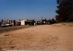 Vintage cars at the Hallberg Apple Farm roadside stand, 1981