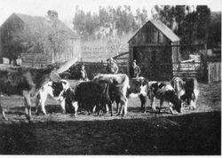 Karl Asman and his father-in-law, F. J. Riddell, at the Burnett Ranch, 1920s