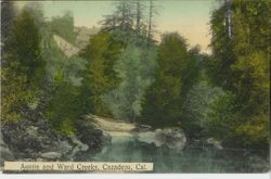 Austin and Ward Creeks, Cazadero, California, postmarked 1911