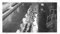 Manzana Products Company production line