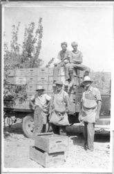 Hotle orchard at the Hood Ranch in the early 1930s