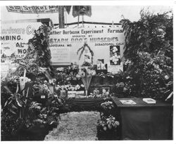 Burbank Experiment Farm display of plants, flowers and fruit at Sebastopol Apple Blossom Fair, between 1927 and 1928