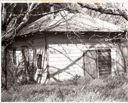 Luther Burbank cottage, about 1978