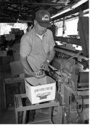 Lee Walker filling apple boxes at his Walker Ranch on Upp Road in Graton, about 2000