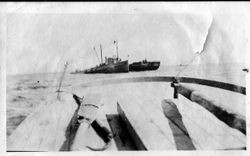 Fishing boats on Bodega Bay, about 1910