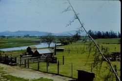 Late winter flooding of the Laguna de Santa Rosa on the east side of Sebastopol, California, 1970s