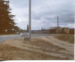 Hallberg Apple Farm roadside stand sign along Gravenstein Highway North (Highway 116), Sebastopol, California, 1979