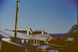 Unidentified barns, 1977