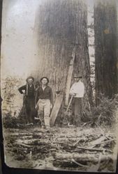 Coleman Valley, July 27, 1914 at Sugar Loaf logging show at Sturgeon's Mill