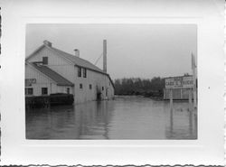 Flooded streets of east Sebastopol around the Sebastopol Road and Laguna area by the Food Products Co. building, 1951