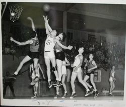 Analy High School Tigers basketball 1949--Analy vs Santa Rosa