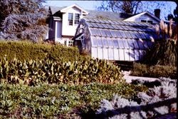 Burbank Home and Gardens, Santa Rosa, California, 1965