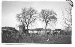 One story clapboard house of William and Leona Rosebrook in Sebastopol, about 1920