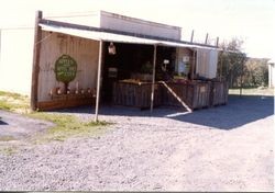 Marcia Hallberg with boxes of apples at the entrance to the Hallberg Apple Farm roadside stand, 1982