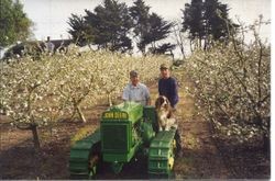 Tom and Eric Marshall in the Marshall Ranch apple orchard with Tom's John Deere tractor, about 1992