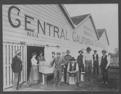 Sebastopol branch of the Central California Canneries, early 1900s