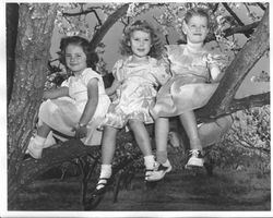 Sebastopol Apple Blossom Princess Meridith Shelton and two unidentified princesses, about 1951