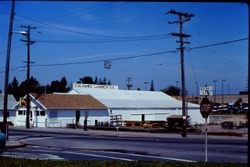 Columbo Lumber Company on South Main Street at Palm Avenue in Sebastopol, April, 1978