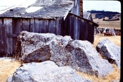Unidentified barn and boulders, 1979