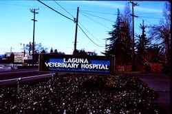 Sign of the Laguna Veterinary Hospital in Sebastopol, California, 1977