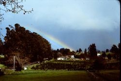 Unidentified property with rainbow, 1980