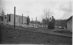 Robert Newton White on a chicken ranch in Sebastopol with an unidentified man and woman, photographed between 1914 and 1918