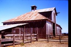 Barn at Stone Ranch in Occidental, California, 1980