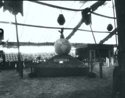 Gravenstein Apple Show, about 1930, with the Forestville display with a globe of the world setting on a pyramid of apples