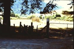 Unidentified house in western Sonoma County, 1982