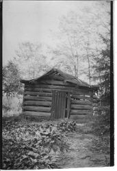 First barn built on Isaac Sullivan's property in Green Valley (Graton) as it looked in 1931