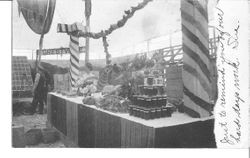 1911 Gravenstein Apple Show display of apples with an exhibit by Forestville visible in background