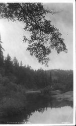 Summer Home Park resort area on the Russian River