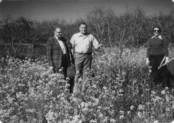 John Bregger, Don Hallberg and Marsha Hallberg in apple orchard in early spring 1979