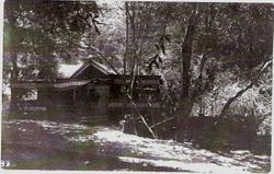 Ice Cream Park shop at Camp Meeker, 1908